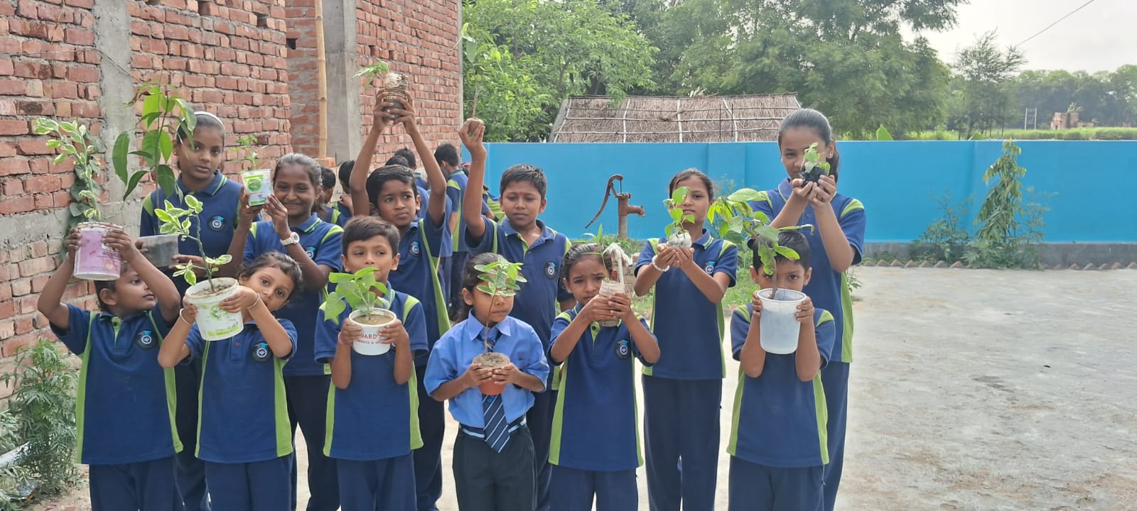 tree plantation 1